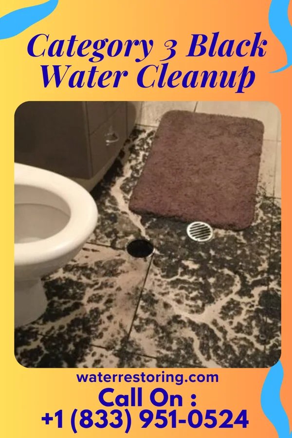 Category 3 Black Water Cleanup in White, GA