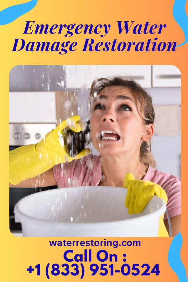 Emergency Water Damage Restoration in White, GA