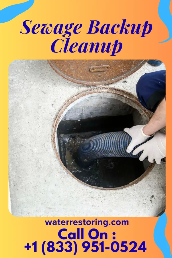 Sewage Backup Cleanup in White, GA